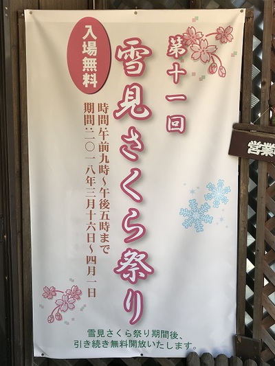 雪見さくら祭り