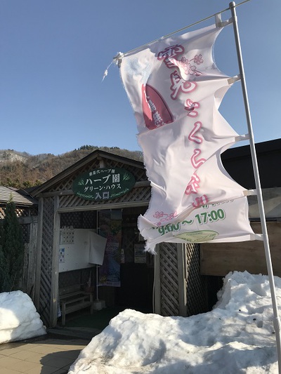 雪見さくら祭り