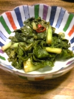 野沢菜の即席切り漬け