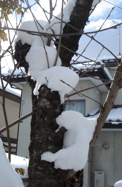 雪景色♪　