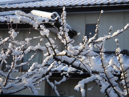 雪景色