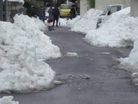 聖光学院の生徒さん達が雪かきを！　感謝です♪