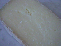 ＮＨＫチーズ講座7月28日　ピエモンテのチーズ