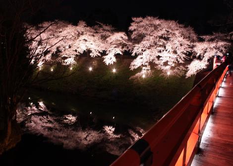 夜桜　＊鶴ヶ城　②＊