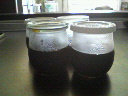 コーヒーゼリー