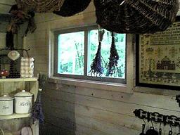 カシュカシュの森便り♪♪゚・*:.。.
