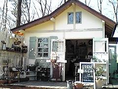 カシュカシュの森便り♪♪゚・*:.。.