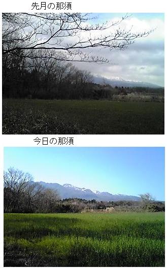 カシュカシュの森便り♪♪゚・*:.。.