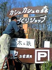 カシュカシュの森便り♪♪゚・*:.。.