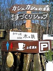 カシュカシュの森便り♪♪゚・*:.。.