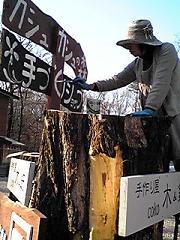 カシュカシュの森便り♪♪゚・*:.。.