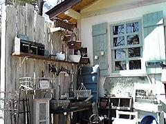 カシュカシュの森便り♪♪゚・*:.。.