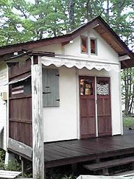 カシュカシュの森便り♪♪゚・*:.。.