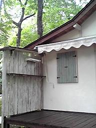 カシュカシュの森便り♪♪゚・*:.。.