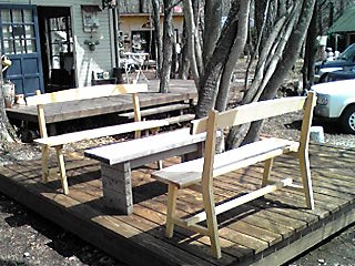 カシュカシュの森便り♪♪゚・*:.。.