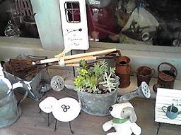 カシュカシュの森便り♪♪゚・*:.。.