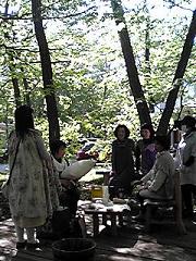 カシュカシュの森便り♪♪゚・*:.。.