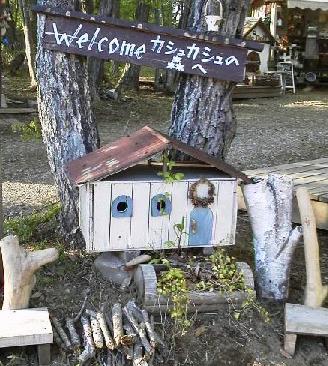 イベント情報♪♪゚・*:.。.