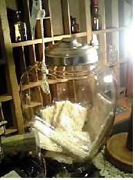 カシュカシュの森便り♪♪゚・*:.。.
