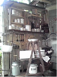 カシュカシュの森便り♪♪゚・*:.。.