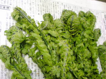今・・・微妙ですよね~