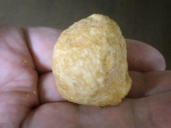お土産に貰いました