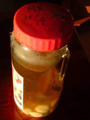 12年物です