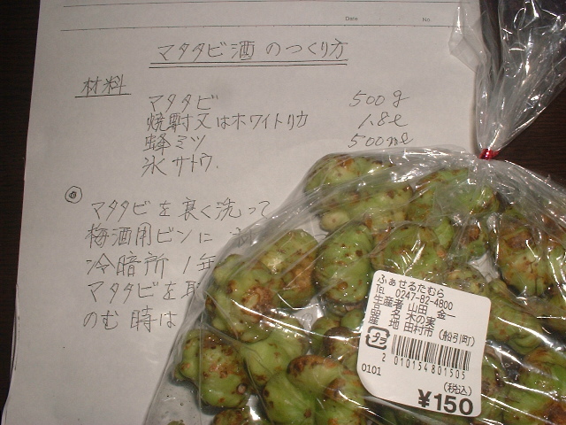 猫は居ませんが・・・