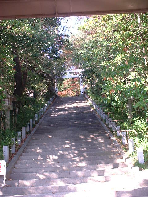 小春日和（二本松編）