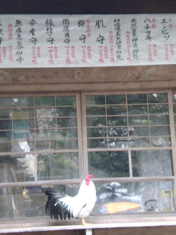 会津へ・・・研修