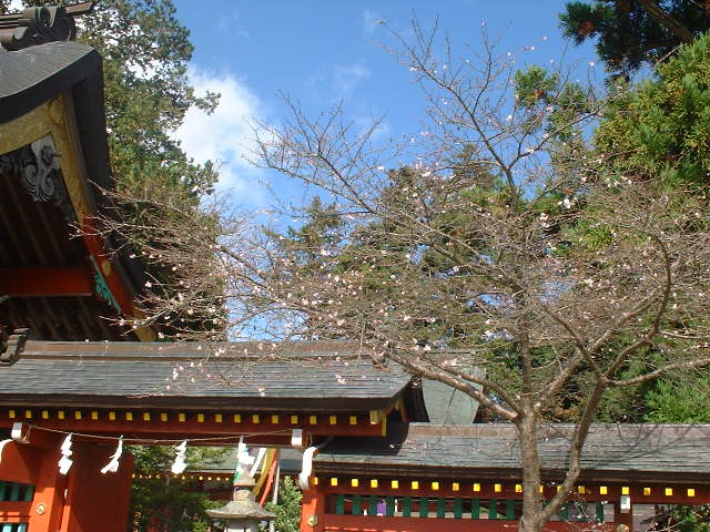 大鏑矢神社の秋祭り