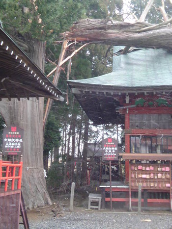 600年見守ってくれた