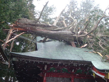 600年見守ってくれた