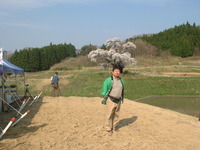 小沢の桜が満開(^o^)丿