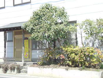 泣いて馬謖を・・・