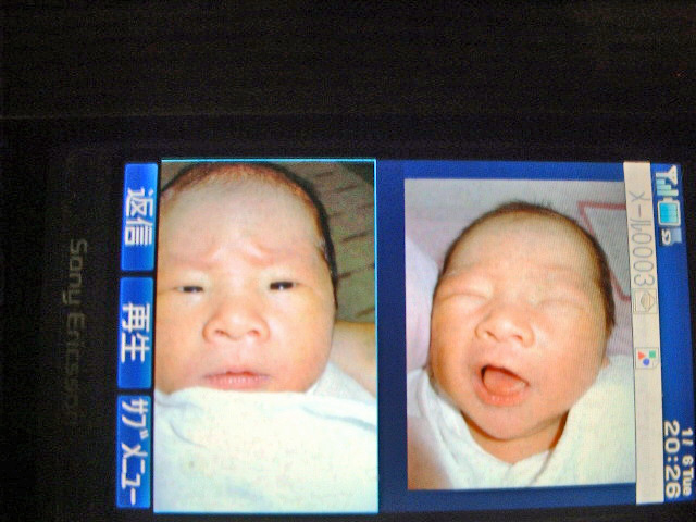 甥っ子の写真