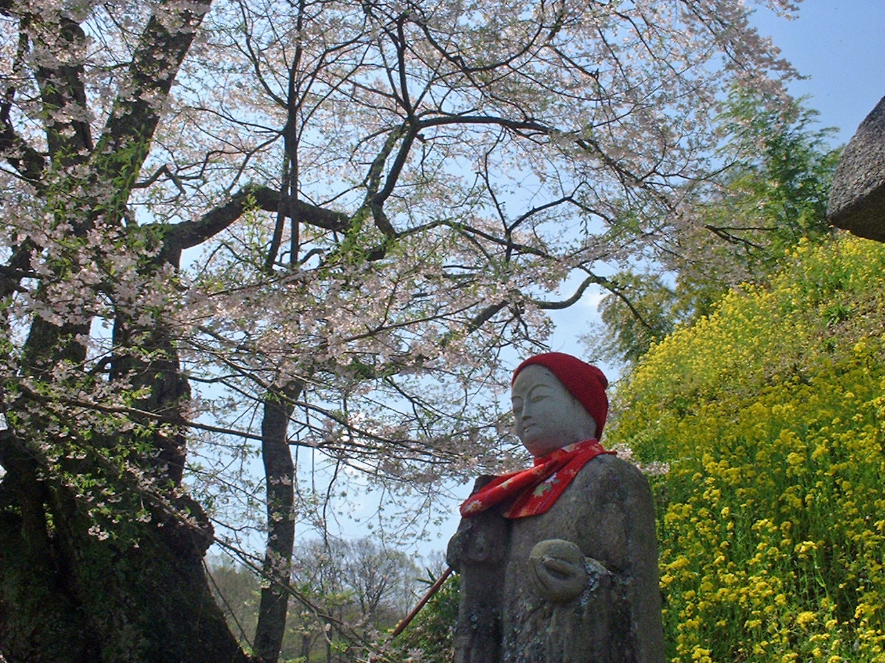 船引町は　まだまだ桜が・・・
