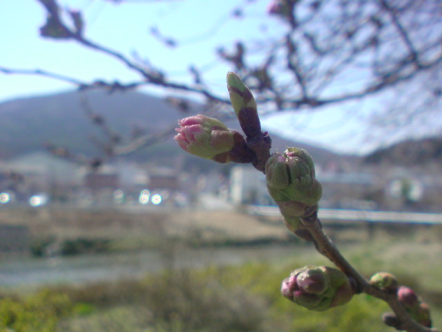 もう、少しです