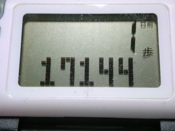 エゴマをいただきました・・・