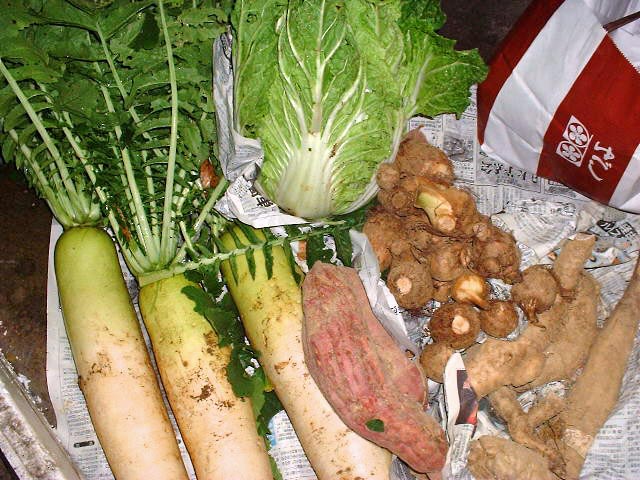 秋野菜