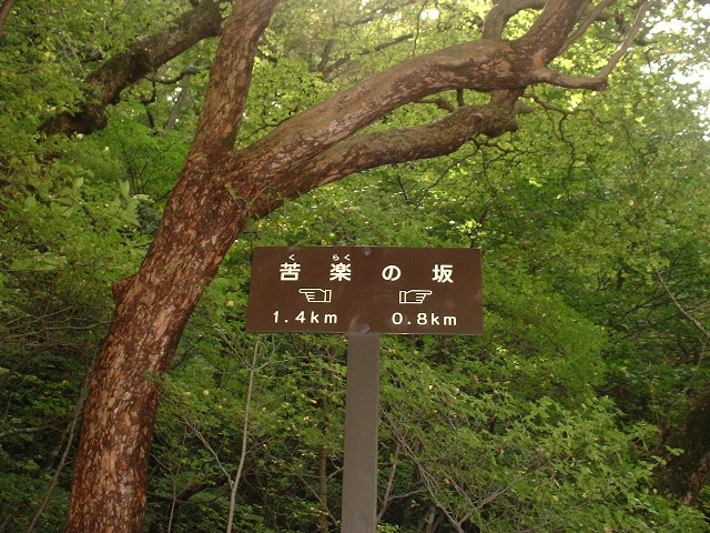 白河楽しんで来ました・Ⅴ
