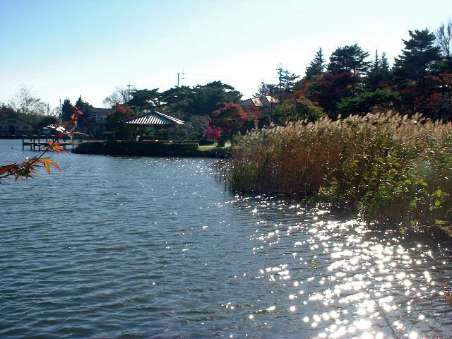 小春日和（二本松編）
