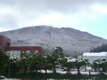 一夜明けて・・・