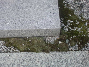 雨が降る前に・・・