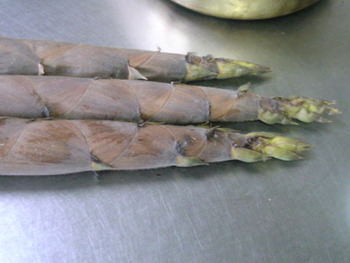 頂き物