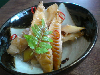 頂き物