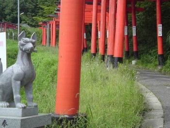 お会いしてビックリ