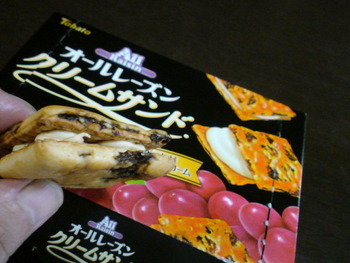 久々のオールレーズン