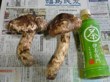 勢いで買ってしまった・・・