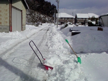 雪かきに・・・